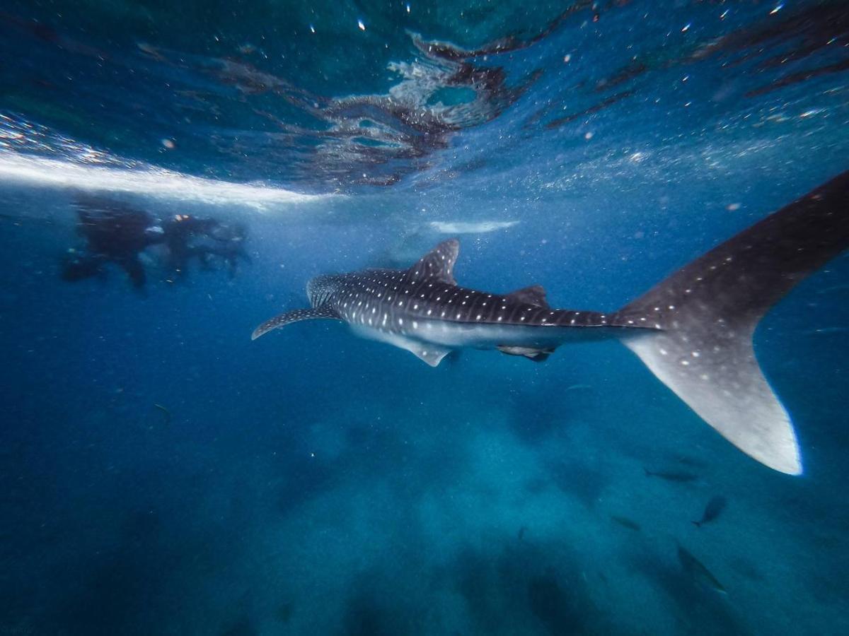 Manta Dhangethi Extérieur photo