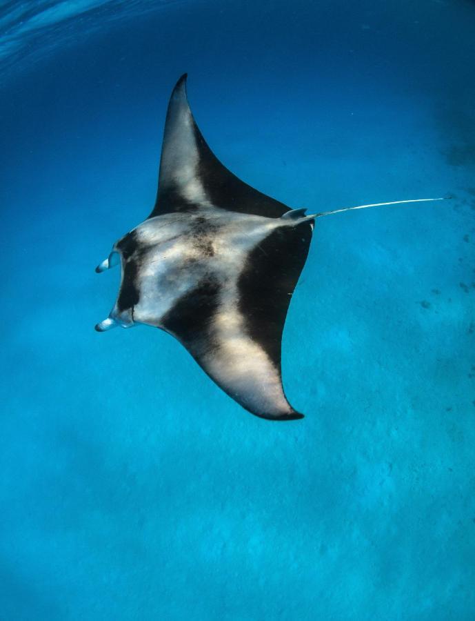Manta Dhangethi Extérieur photo